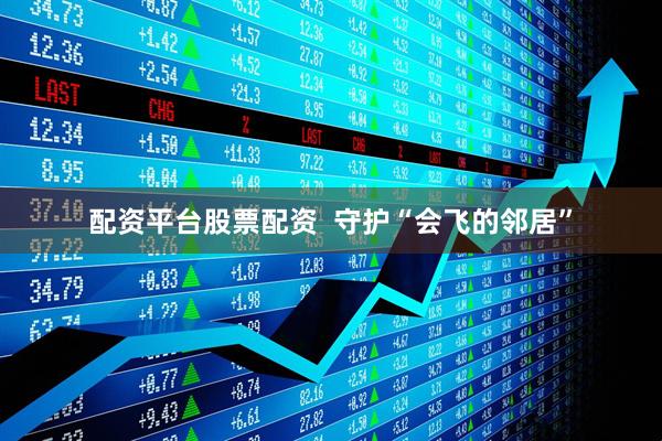 配资平台股票配资  守护“会飞的邻居”