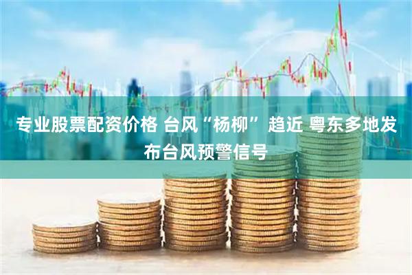 专业股票配资价格 台风“杨柳” 趋近 粤东多地发布台风预警信号